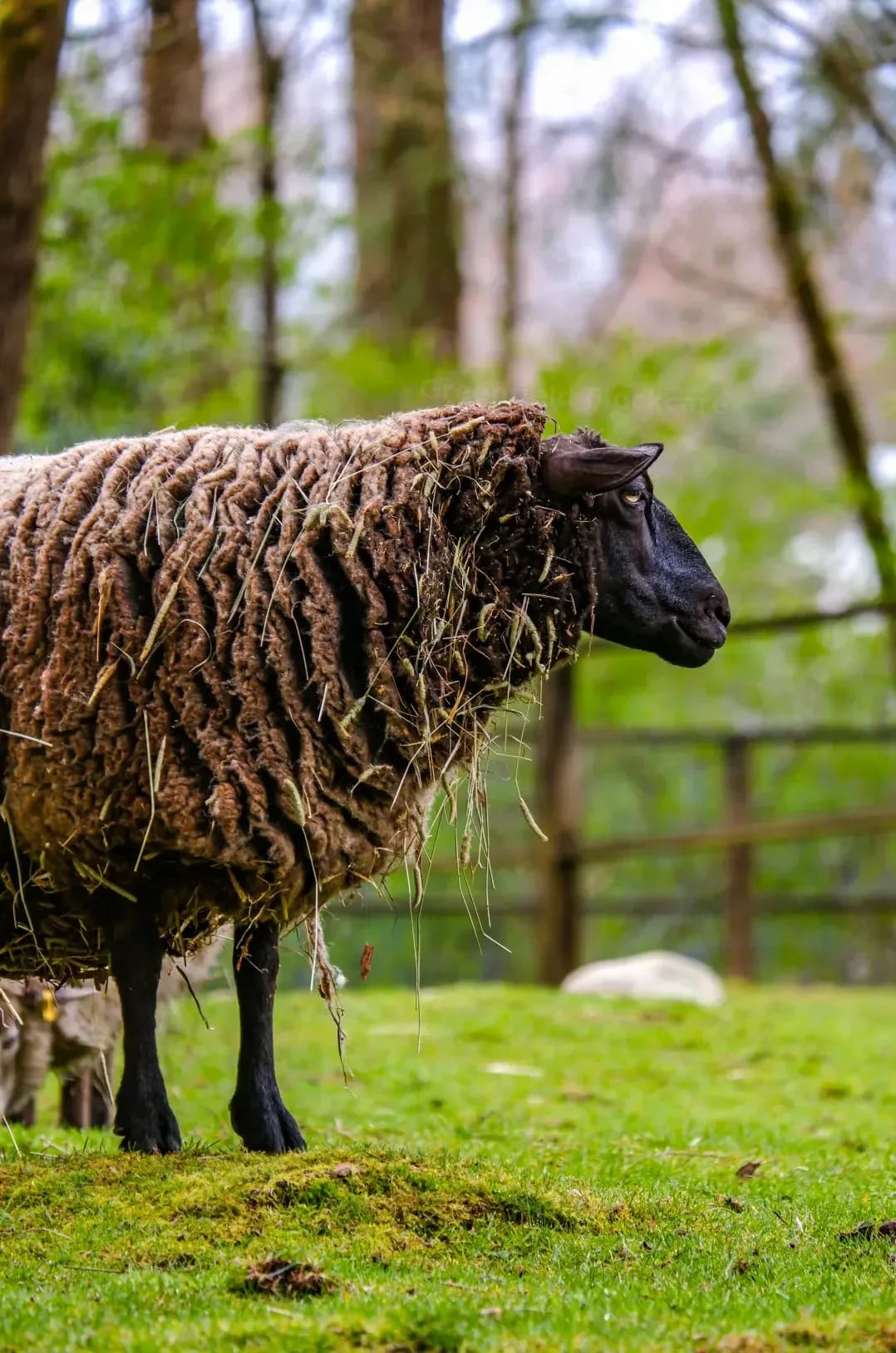 Parasite control planning